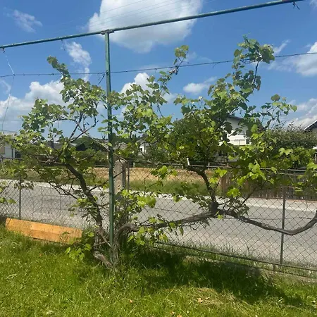 公寓 Old House Pod Pohorjem *