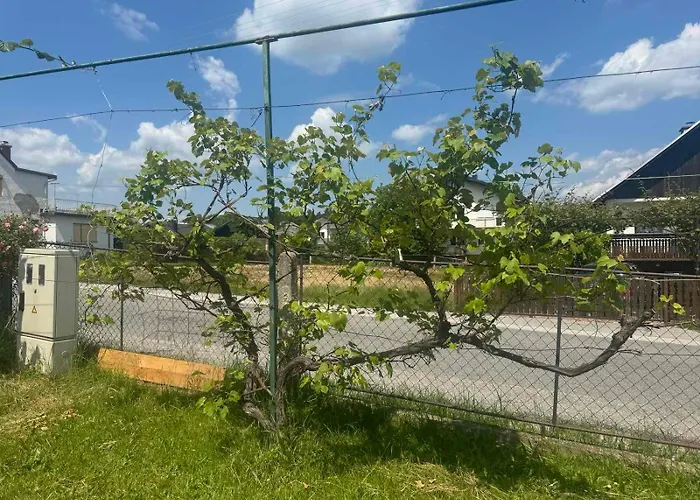 Appartamento Old House Pod Pohorjem *